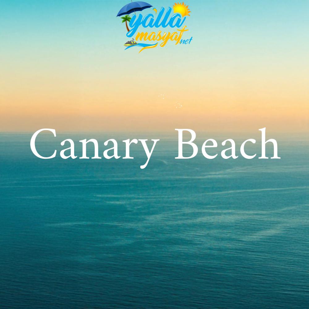 منتجع شاطئ كناري