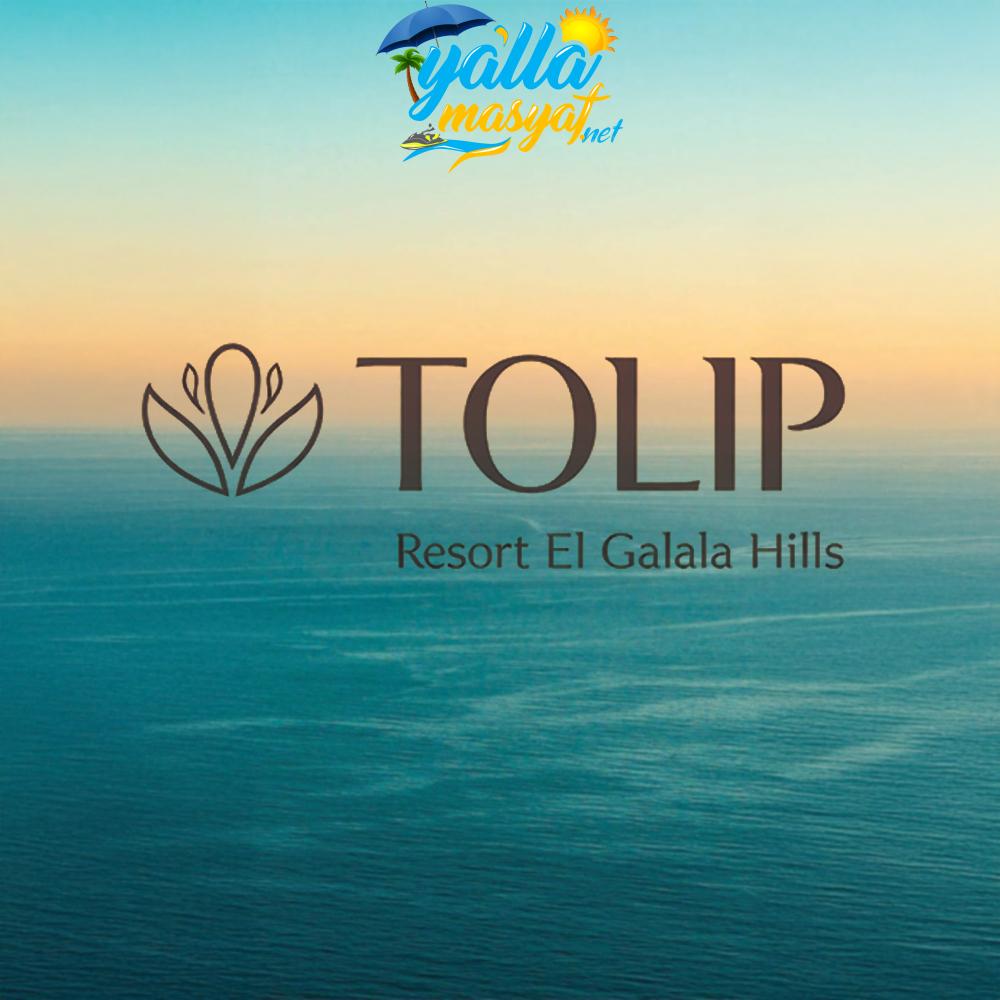 منتجع تيوليب